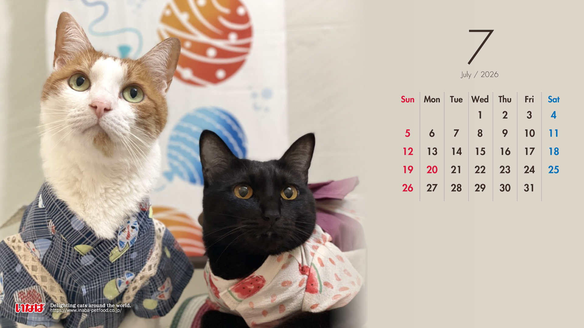 2026年7月猫