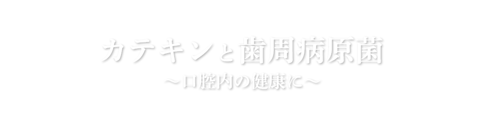 カテキンと歯周病原菌