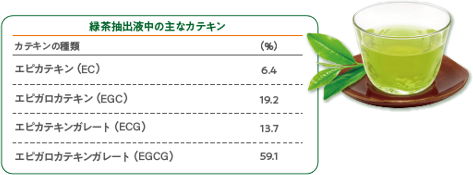 緑茶抽出液中の主なカテキン