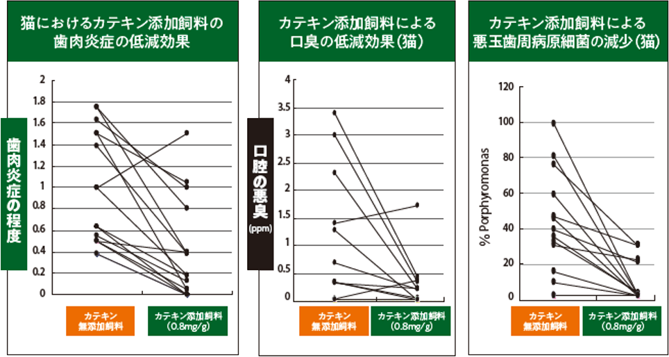 カテキンの殺菌作用の効果