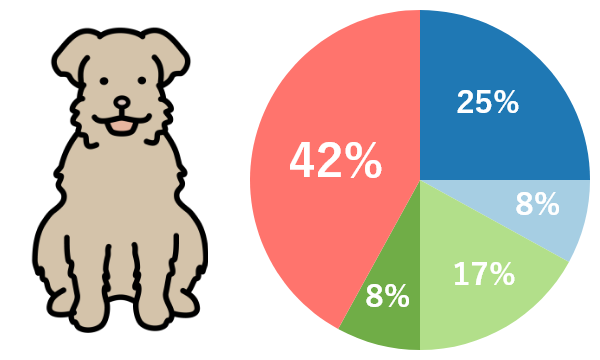 歯みがきをしていないわんちゃん42％