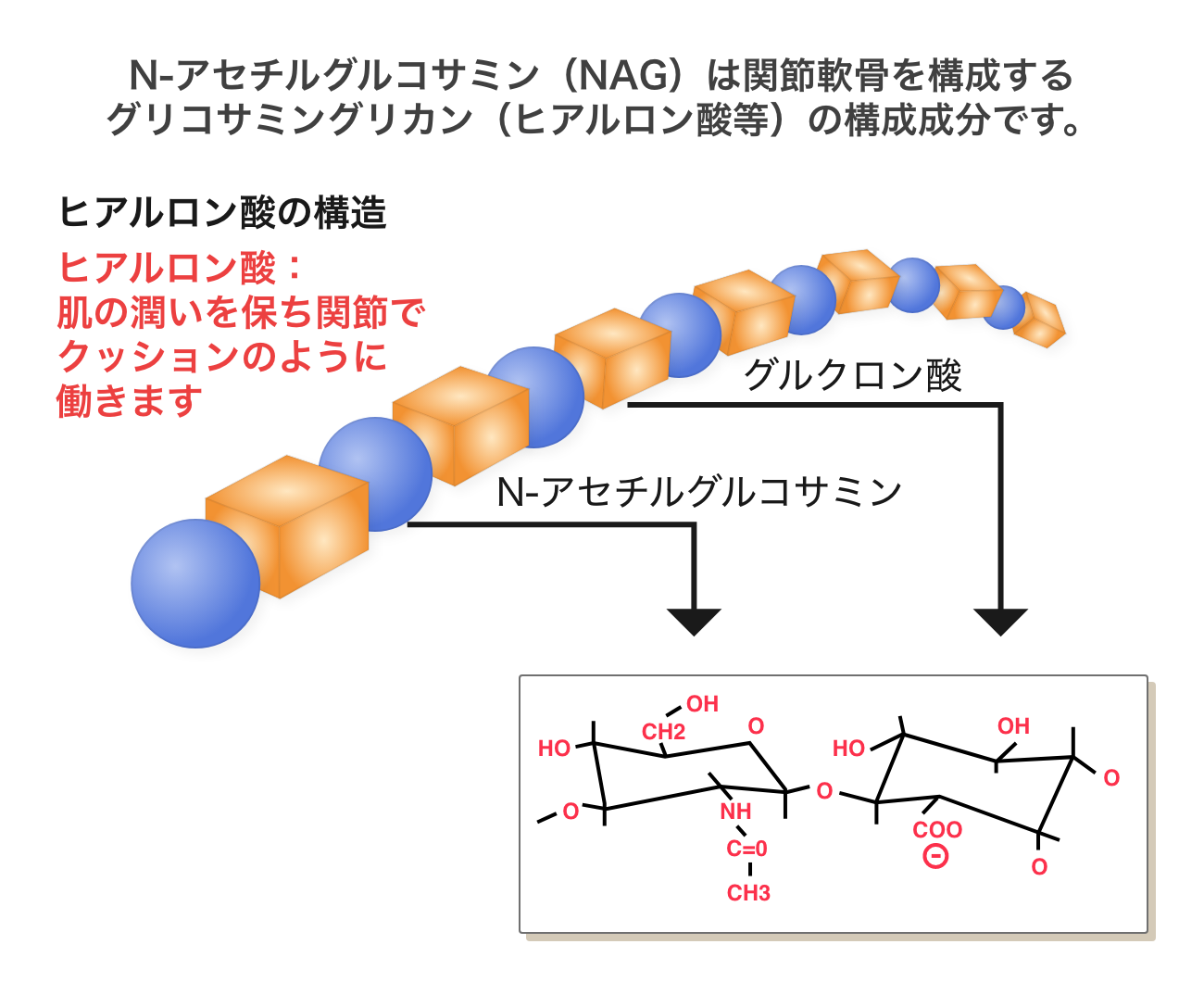 Nアセチルグルコサミンで関節の健康に配慮 いなばペットフード株式会社