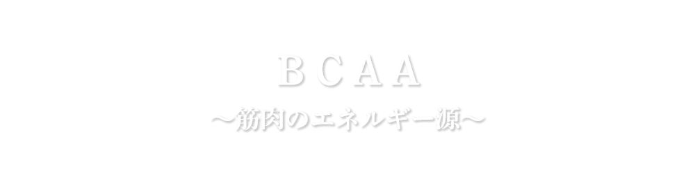 BCAA ～筋肉のエネルギー源～