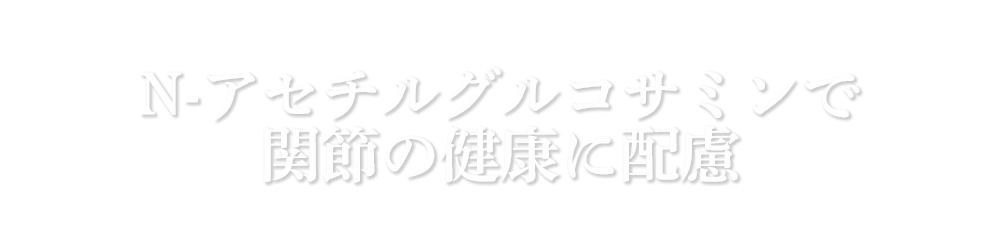 N-アセチルグルコサミンで関節の健康に配慮