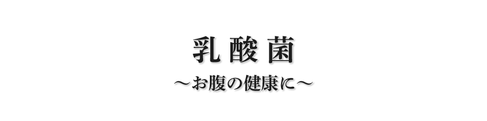 乳酸菌 ～お腹の健康に～