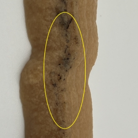 原料の成分による変色の例