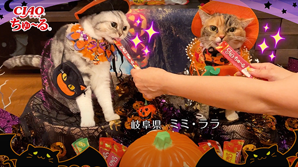 CIAOちゅ～る 2022年 ハロウィン篇 A