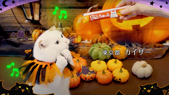 CIAOちゅ～る 2022年 ハロウィン篇 B