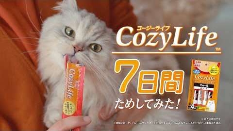 CozyLife7日間ためしてみた　飼い主さんの声篇