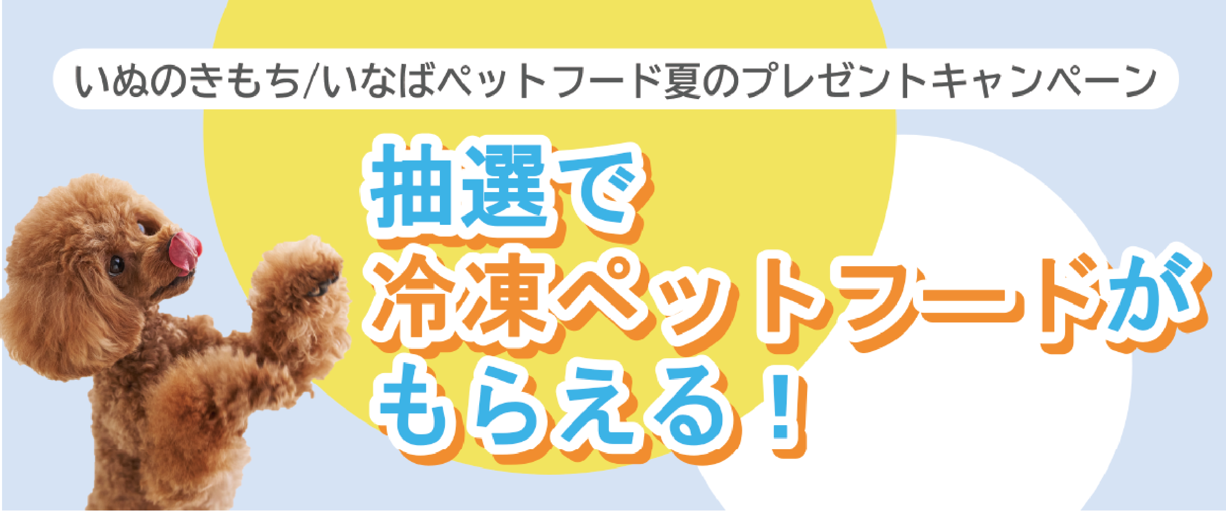 【無料】抽選で100名様にプレゼント！いなばの冷凍ペットフード4品がもらえるチャンス！