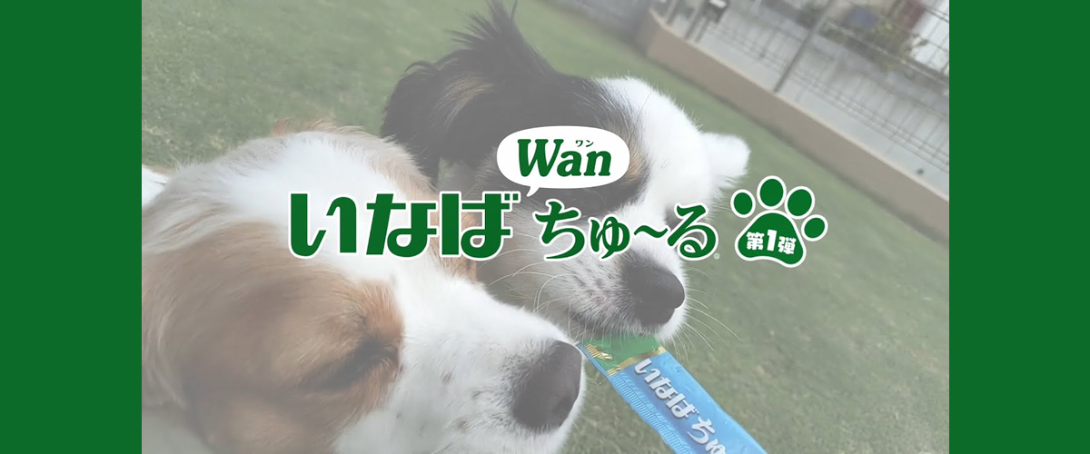 いなばWanちゅ～るMV「Wanちゅ～るしよ！」第一弾