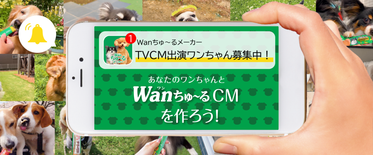 INABAちゅ～る Application