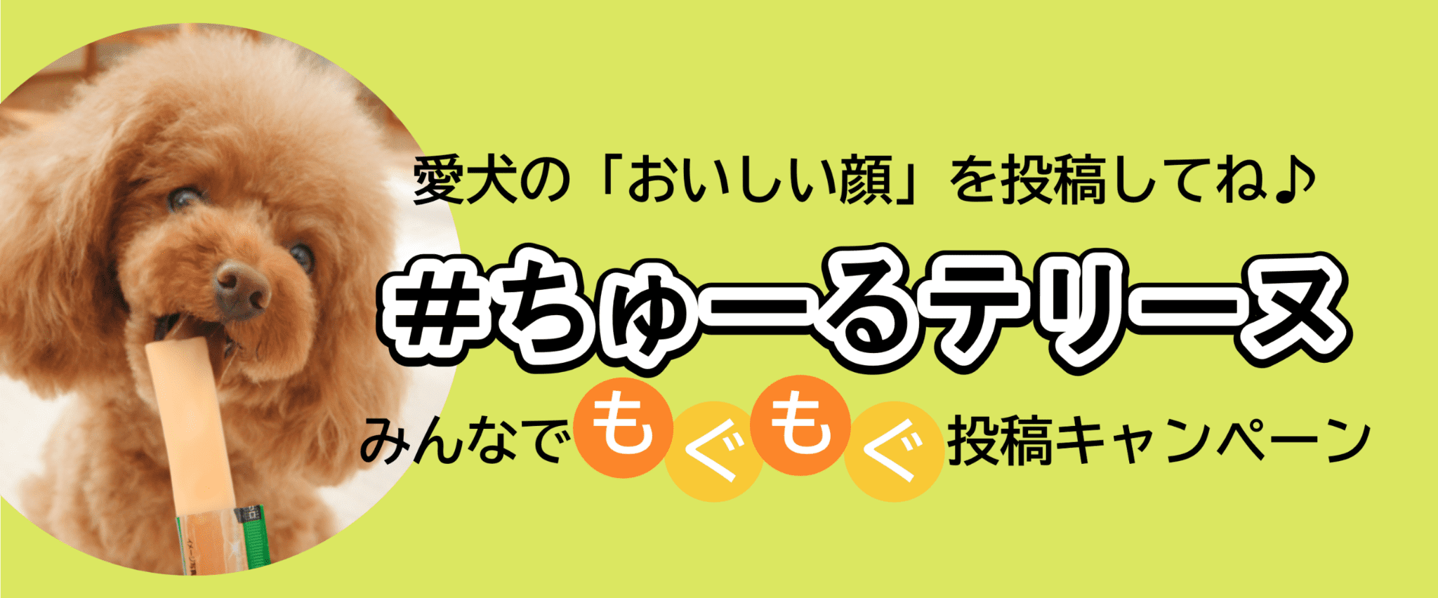 #ちゅーるテリーヌみんなでもぐもぐ投稿キャンペーンでモデルデビューのチャンス！