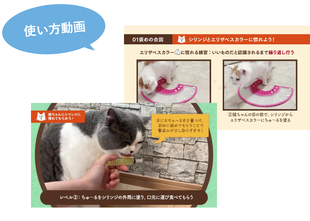 使い方動画