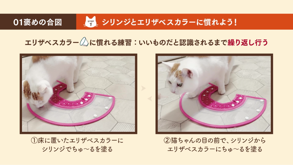 使い方動画 エリザベスカラー